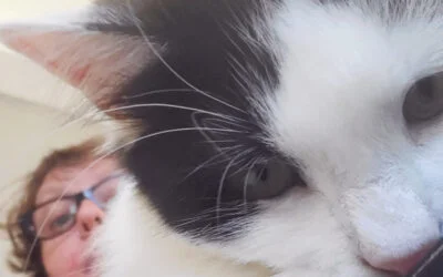 Comment bien choisir son pet-sitter ?