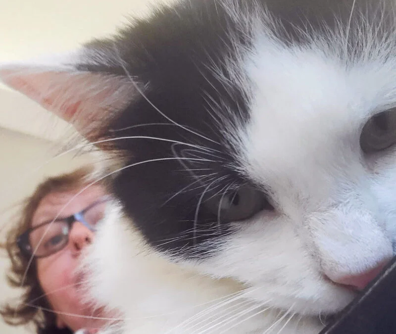 Comment bien choisir son pet-sitter ?