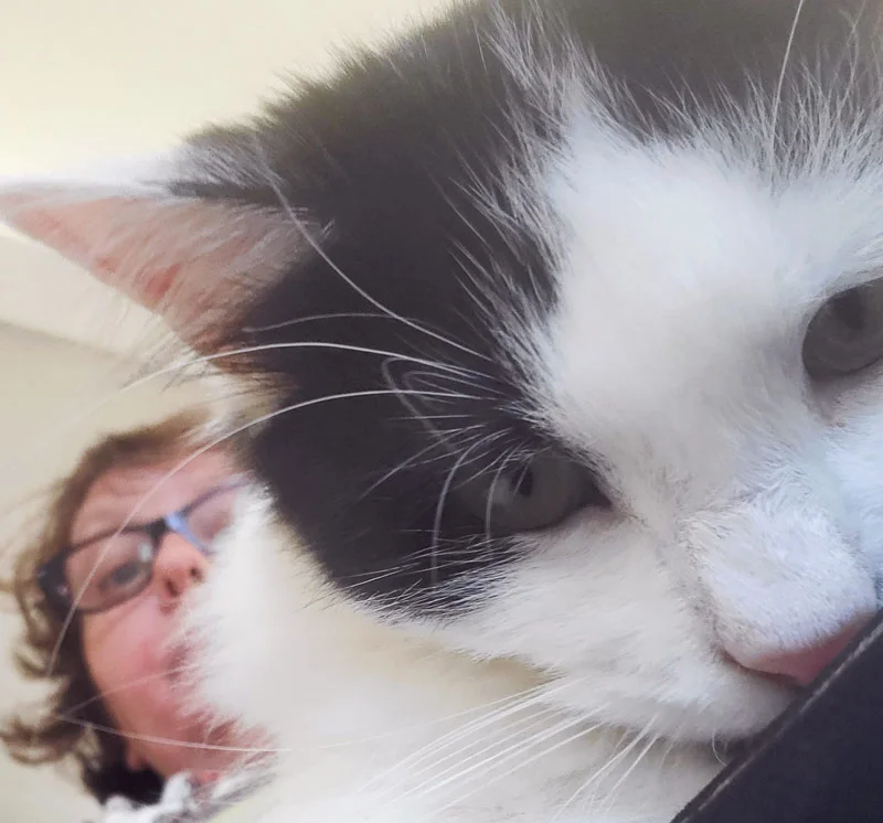 Comment choisir son pet-sitter ?