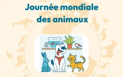 Le 04 octobre, ce sera la journée mondiale des animaux !