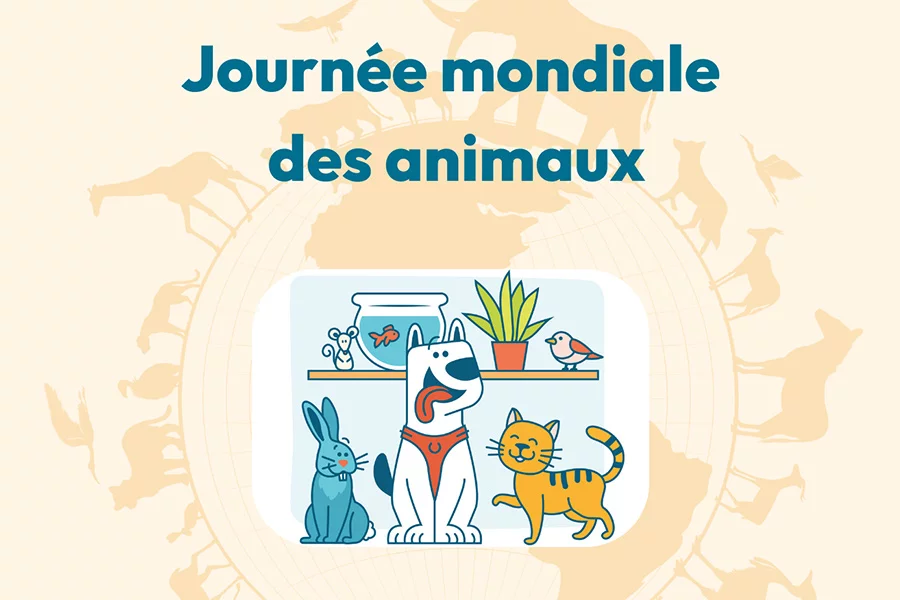 Le 04 octobre, ce sera la journée mondiale des animaux !