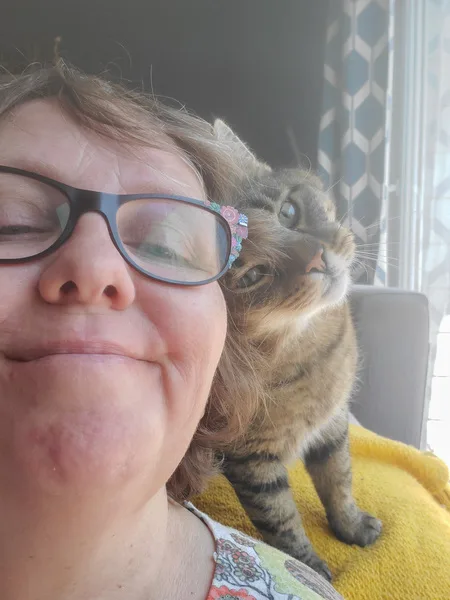 calin chat petsitting