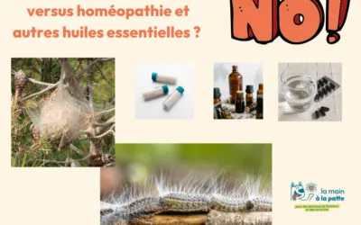 Chenilles processionnaires versus homéopathie