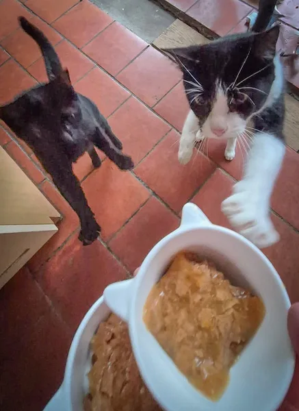 fb img 1741848468346