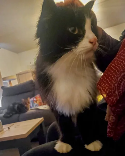 fb img 1741848504618