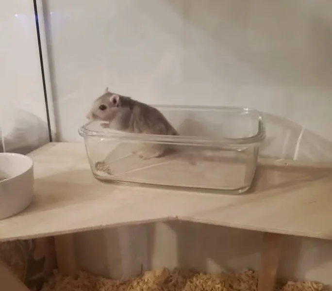 fb img 1741848543281