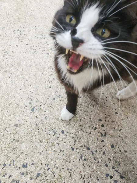 fb img 1741848603124