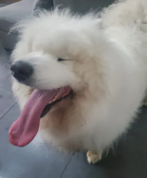 fb img 1741848611129