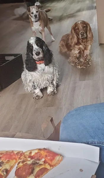 fb img 1741848625174