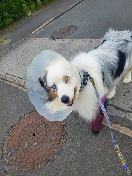 fb img 1741848638758