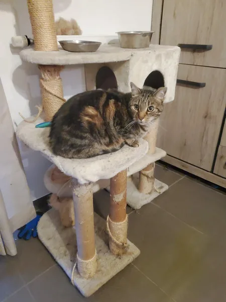 fb img 1741848765679