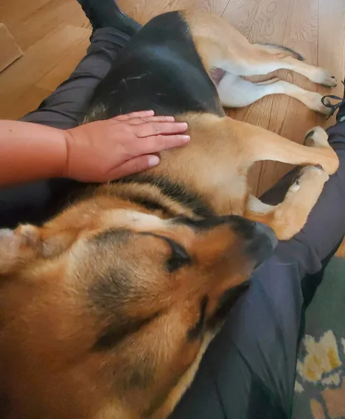 fb img 1741848810022