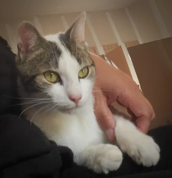 fb img 1741848833616