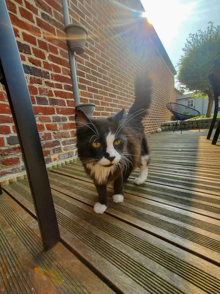 fb img 1741848843251