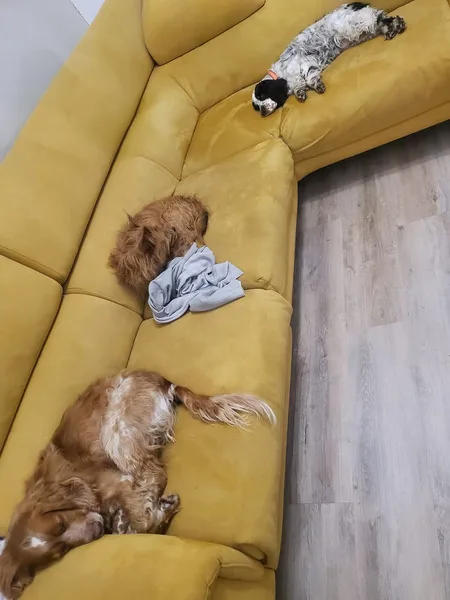 fb img 1741848898747