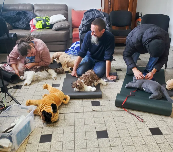 formation secourisme chien nord 3