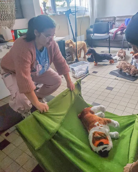 formation secourisme chien nord