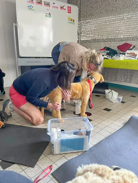 img 20240915 110524 529