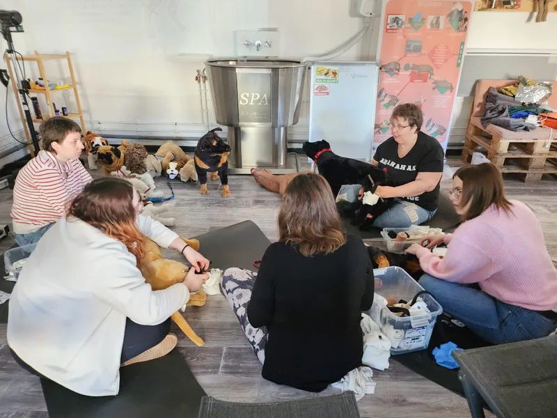 img 20250308 175720 445