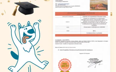 Comportementaliste canin, pour mieux vous accompagner !