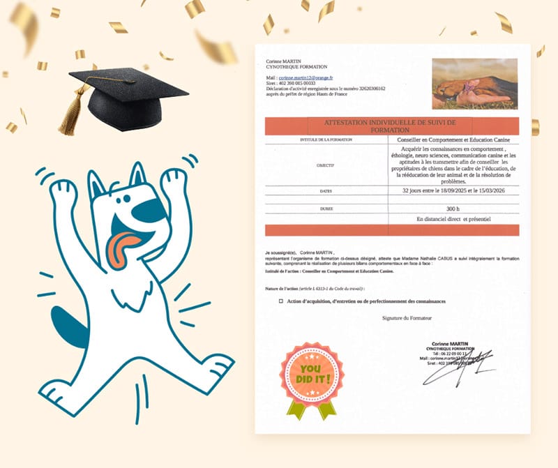 Comportementaliste canin, pour mieux vous accompagner !