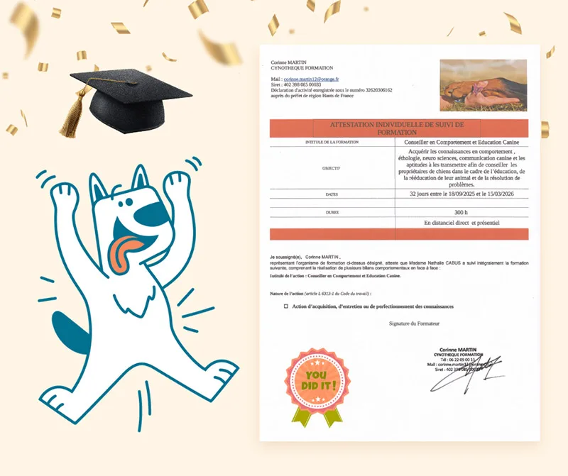 Comportementaliste canin, pour mieux vous accompagner !