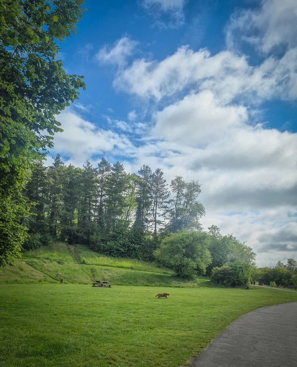 Parc du Héron, Villeneuve-d'Ascq