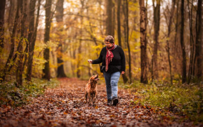 Se promener avec son chien : deux mondes à relier