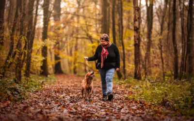 Se promener avec son chien : deux mondes à relier