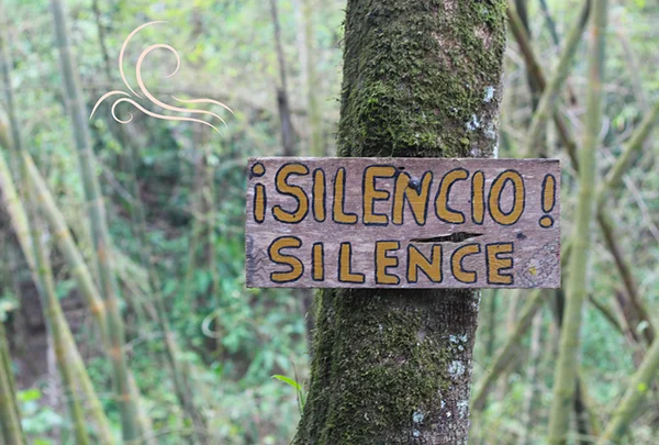 silence