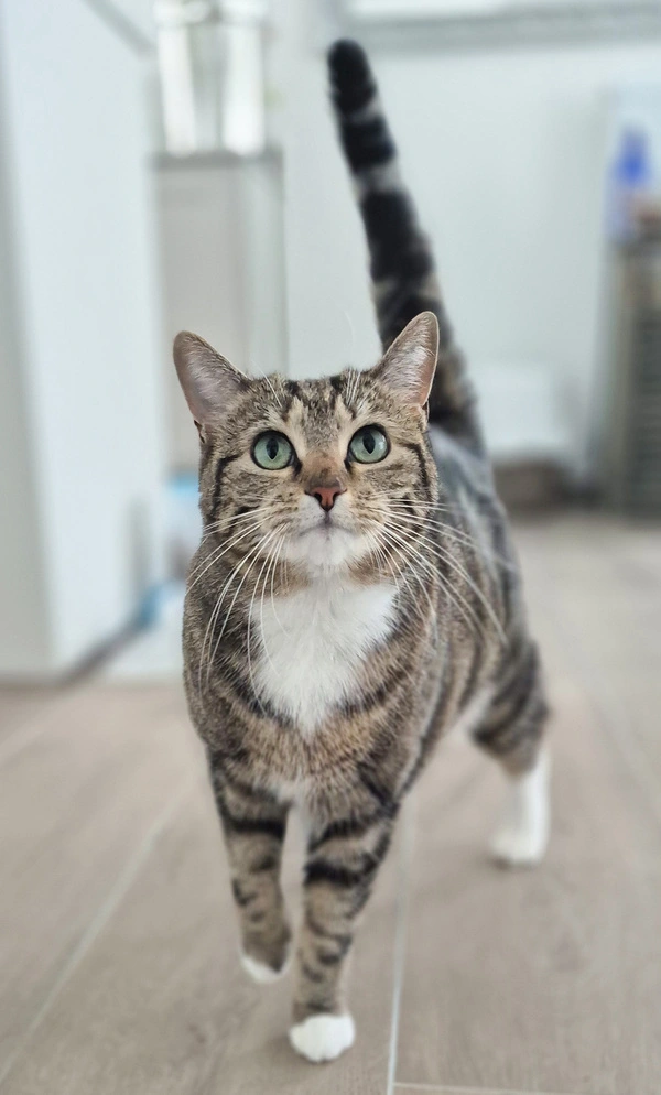 ruby