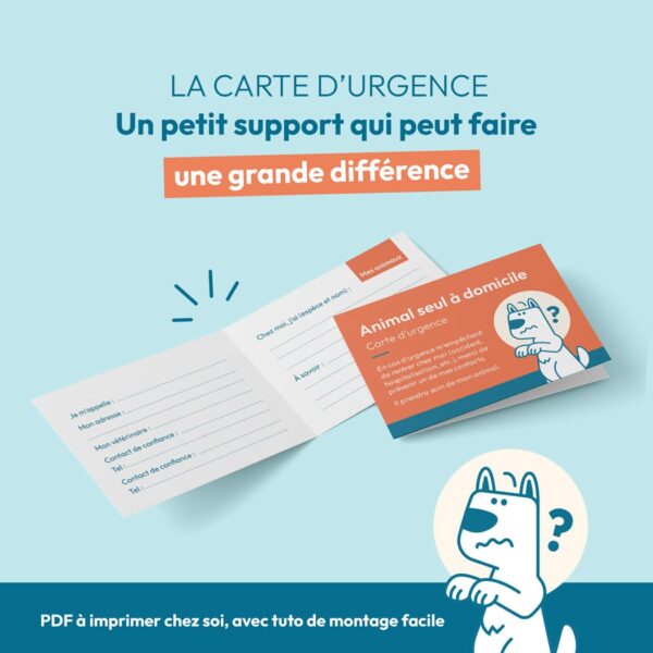 carte d’urgence “animal seul à domicile” (pdf imprimable)