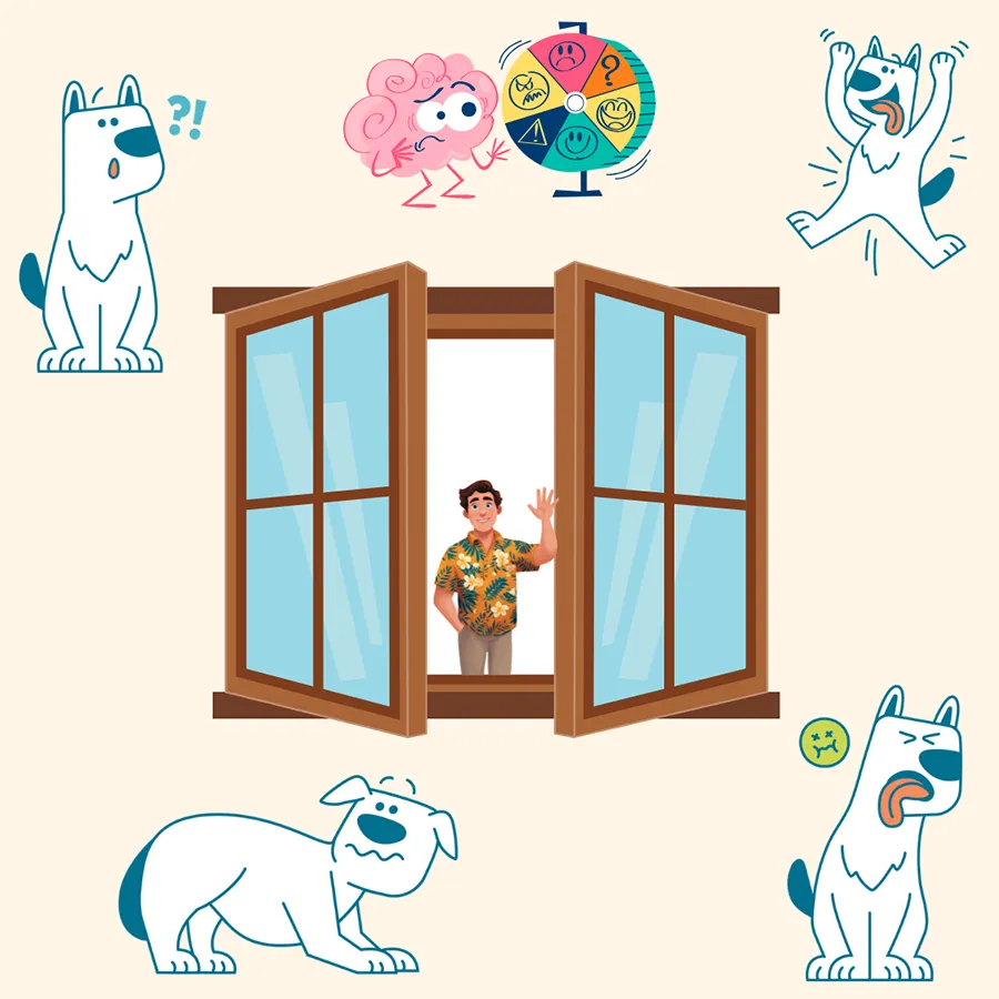 bilan comportemental stimuli