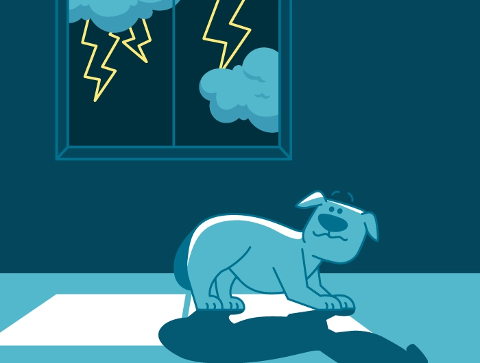 illustration accueillir chiot