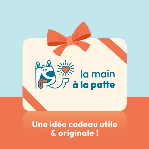 carte cadeau, une idée originale et utile