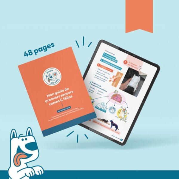 guide secourisme canin & félin (48 pages)