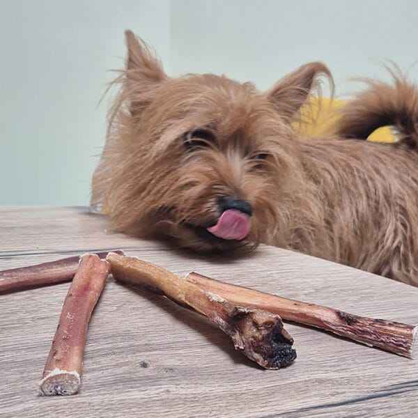nerf de bœuf 15 cm