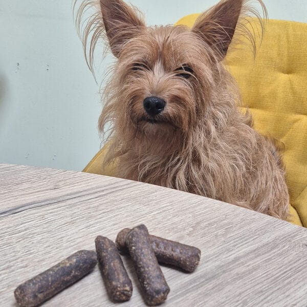 saucisses pour chien