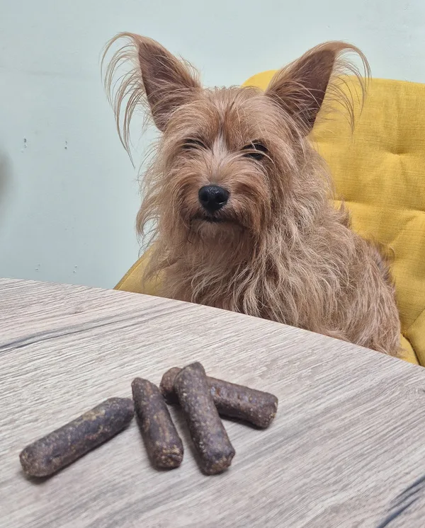 saucisses pour chien